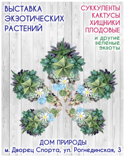 succulent show kiev nodates 440x550 ВЫСТАВКА КАКТУСОВ И ДРУГИХ ЭКЗОТИЧЕСКИХ РАСТЕНИЙ