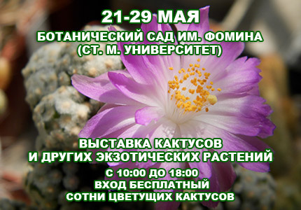 21 29 cactus430x Майская выставка кактусов и других экзотических растений